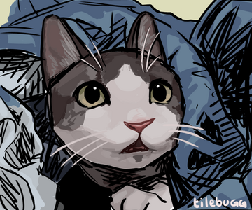 Menina Feminina Pet estudo